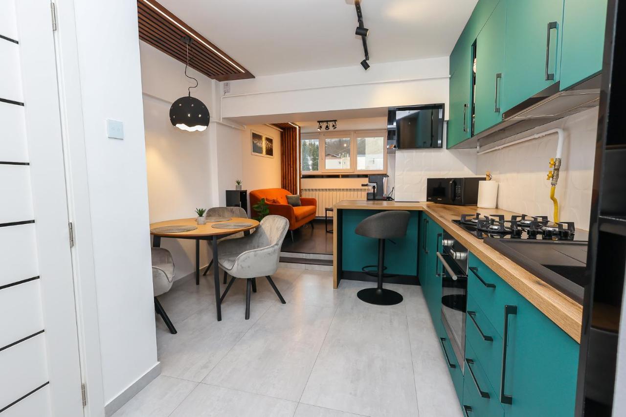 Ioana Residence Bucovina Campulung Moldovenesc Ngoại thất bức ảnh